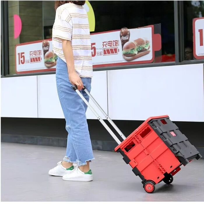 Carrinho de Compras Dobrável