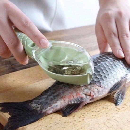 Escamador de Peixe