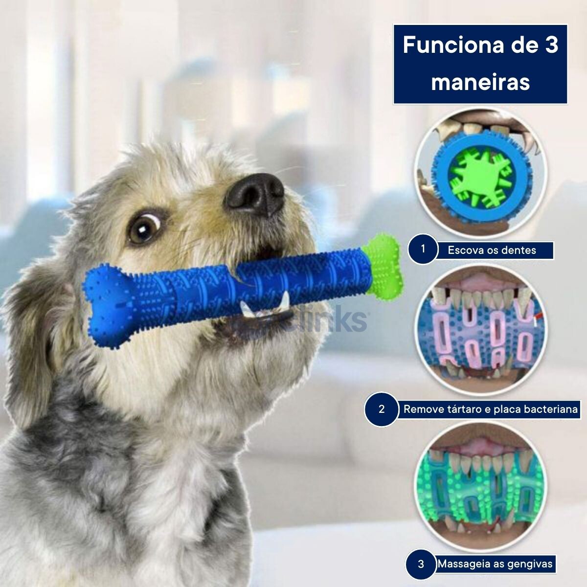Osso de Silicone Para Cães Escova Dentes 3