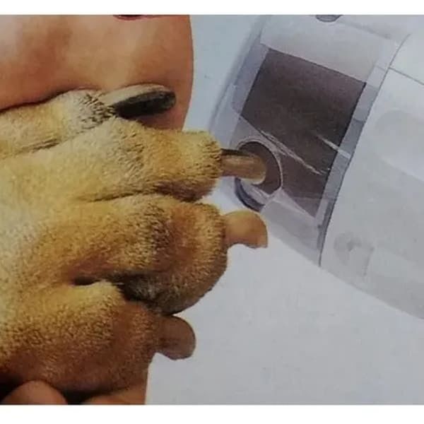 Lima Elétrica de Unhas para Animal de Estimação