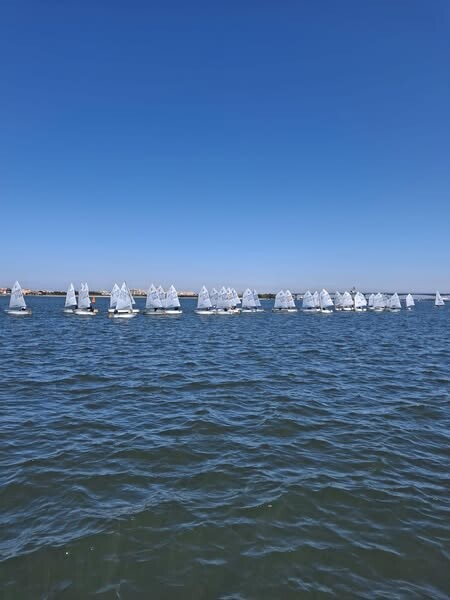 website image