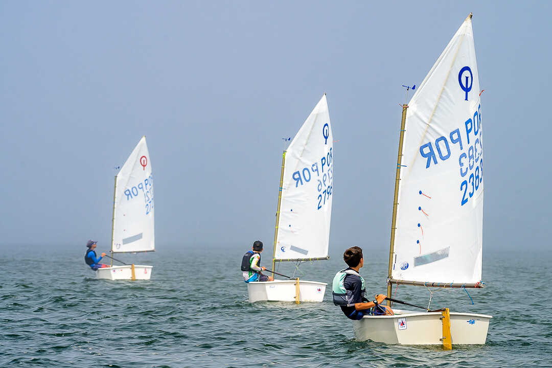 website image