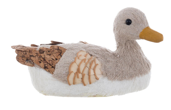 Pato Sentado Pequeno