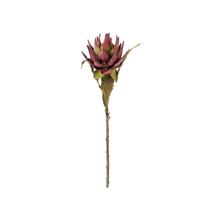 BROMELIA TERRACOTTA 83cm 