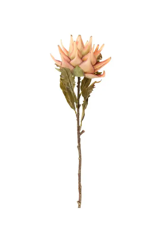 BROMELIA SALMÃO 72cm 