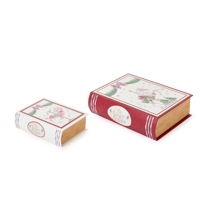 CONJ.2 CAIXAS LIVRO 15/21cmDOT251601