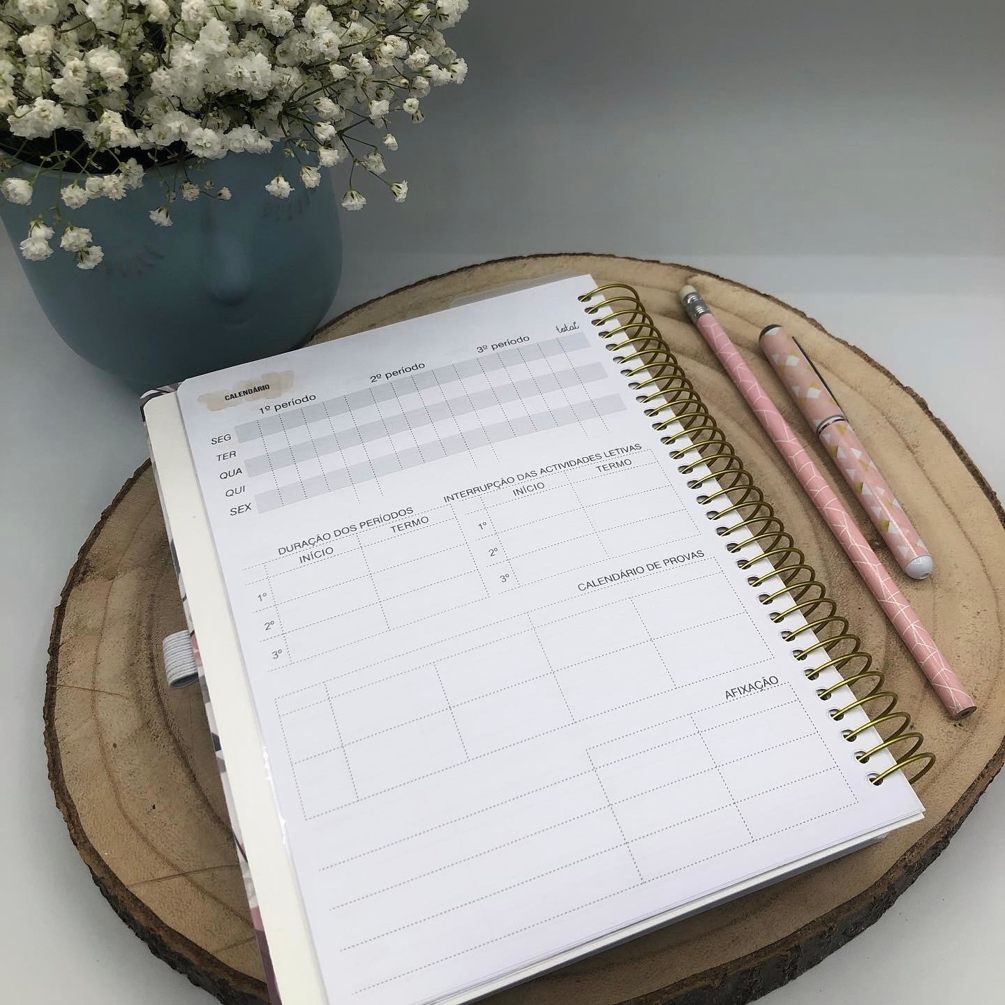 Agenda Diária Professora ou Educadora A5 - Ano Letivo 2024-2025