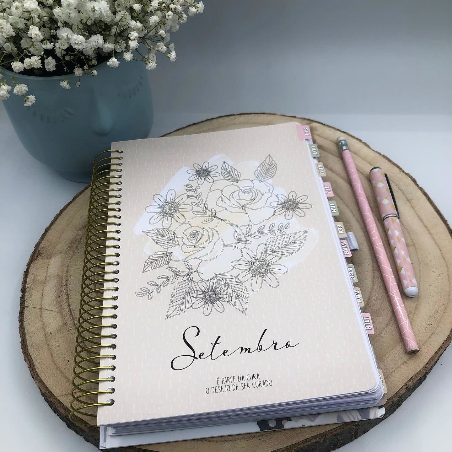 Agenda Diária Professora ou Educadora A5 - Ano Letivo 2024-2025