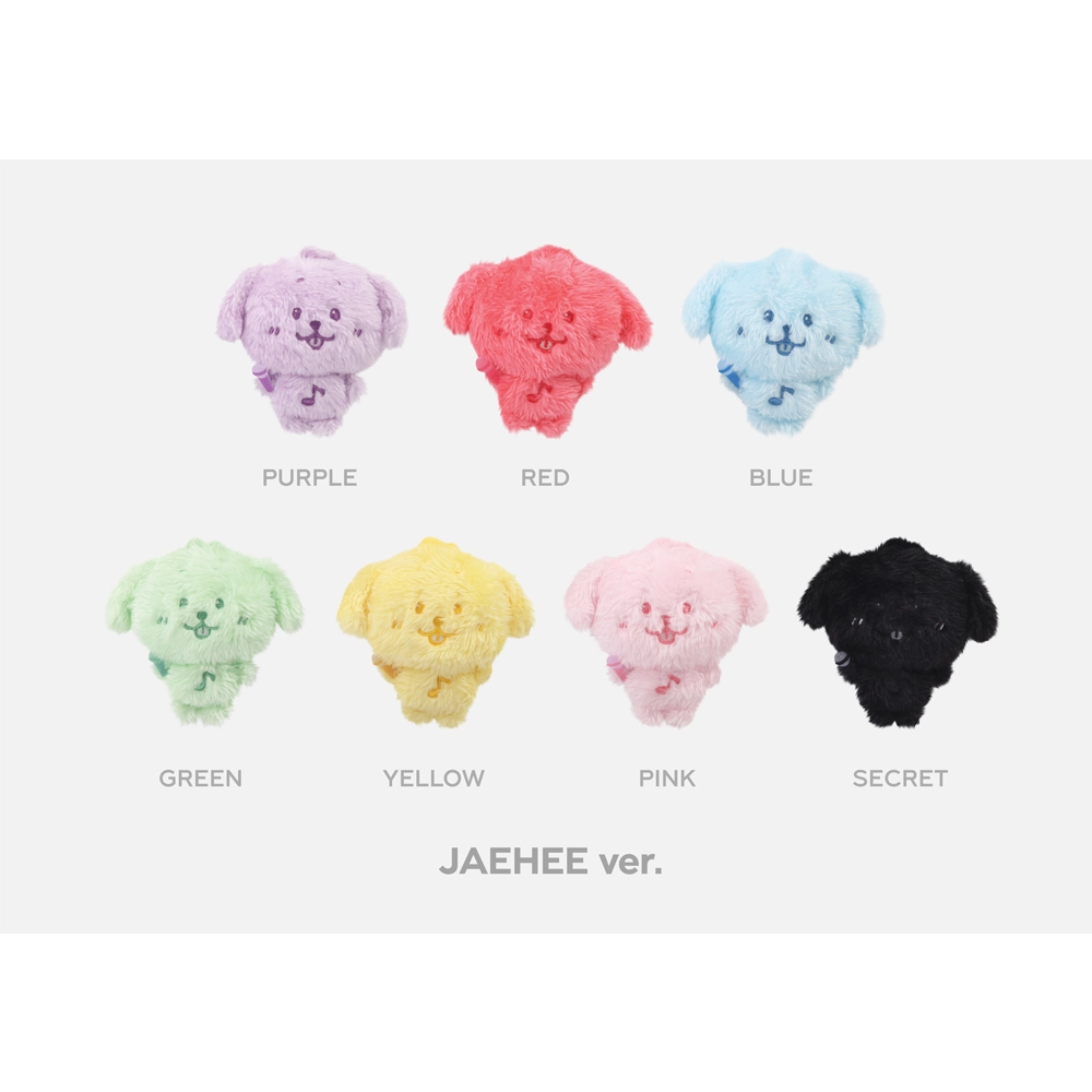 NCT WISH - RANDOM COLOR WISH DOLL (FIND YOUR COLOR POP UP MD) 5