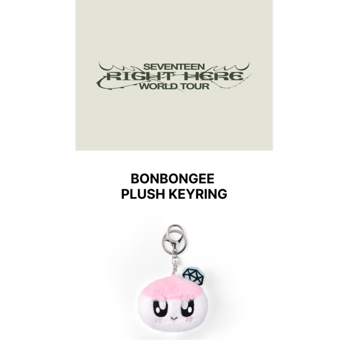 SEVENTEEN - RIGHT HERE WORLD TOUR BONGBONGEE PLUSH KEYRING