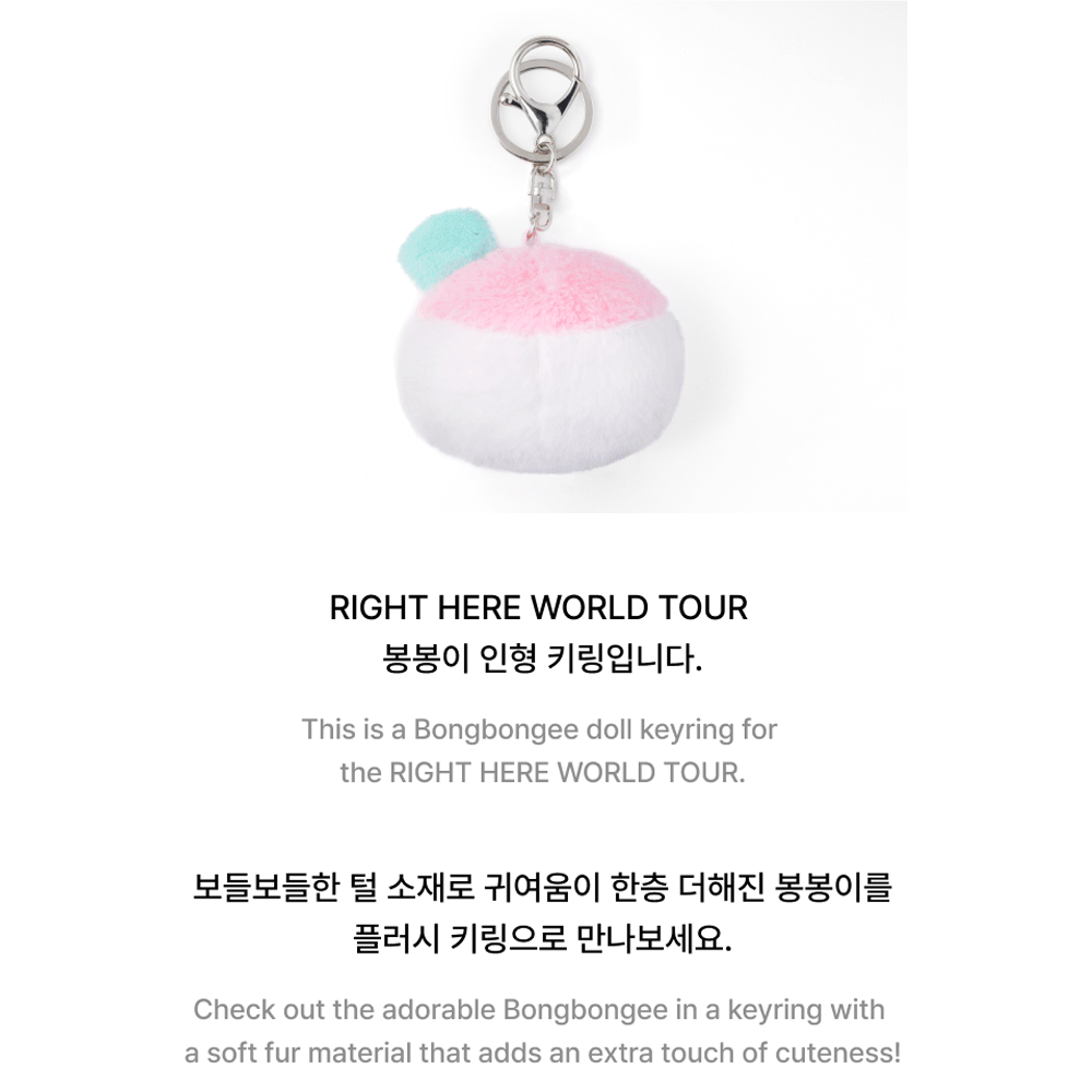 SEVENTEEN - RIGHT HERE WORLD TOUR BONGBONGEE PLUSH KEYRING 2