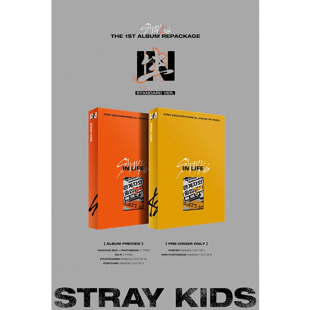 STRAY KIDS - VOL.1 REPACKAGE [IN生 (IN LIFE)] (STANDARD VER) 0