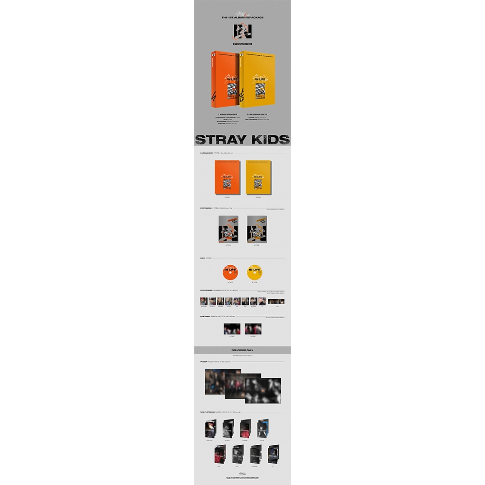 STRAY KIDS - VOL.1 REPACKAGE [IN生 (IN LIFE)] (STANDARD VER)