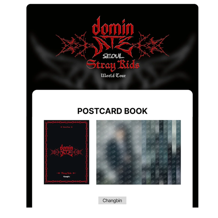 STRAY KIDS - dominATE SEOUL WORLD TOUR OFFICIAL MD POSTCARD BOOK - CHANGBIN