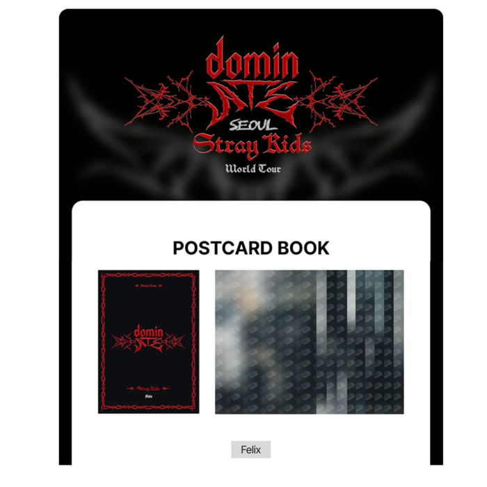 STRAY KIDS - dominATE SEOUL WORLD TOUR OFFICIAL MD POSTCARD BOOK - FELIX