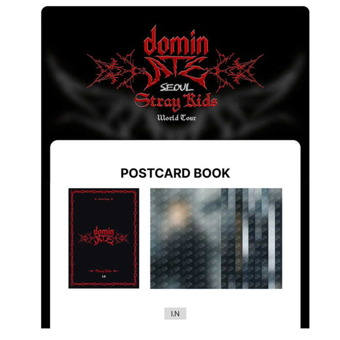 STRAY KIDS - dominATE SEOUL WORLD TOUR OFFICIAL MD POSTCARD BOOK - I.N