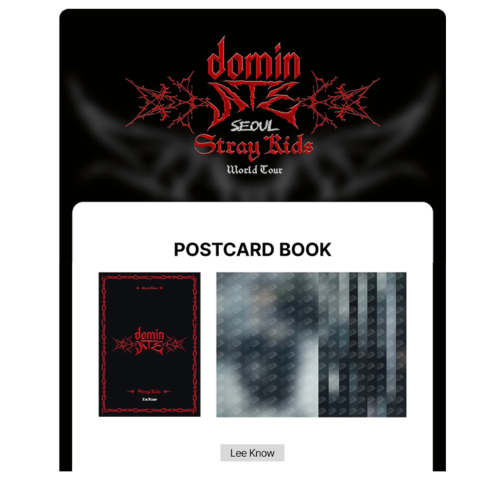 STRAY KIDS - dominATE SEOUL WORLD TOUR OFFICIAL MD POSTCARD BOOK - LEE KNOW