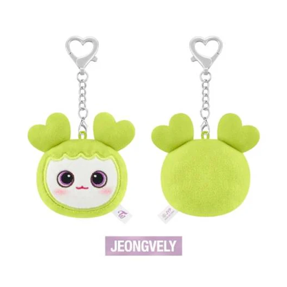 TWICE - LOVELY FACE KEYRING (THIS IS FOR - World Tour in Incheon Official MD) 2