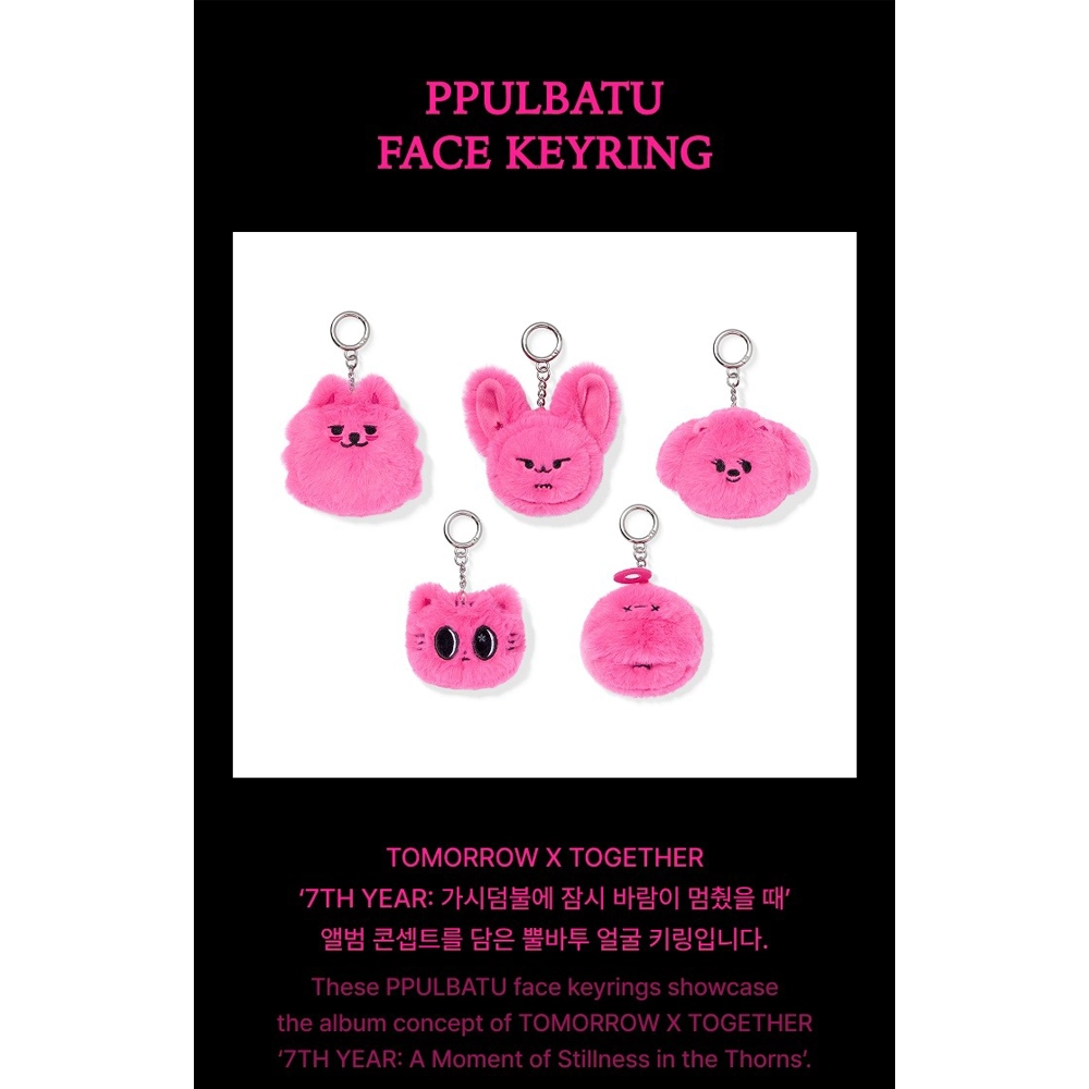 TXT - 7TH YEAR: WHEN THE WIND PAUSED AMONG THE THORNS MD (PPULBATU Face Keyring) 1