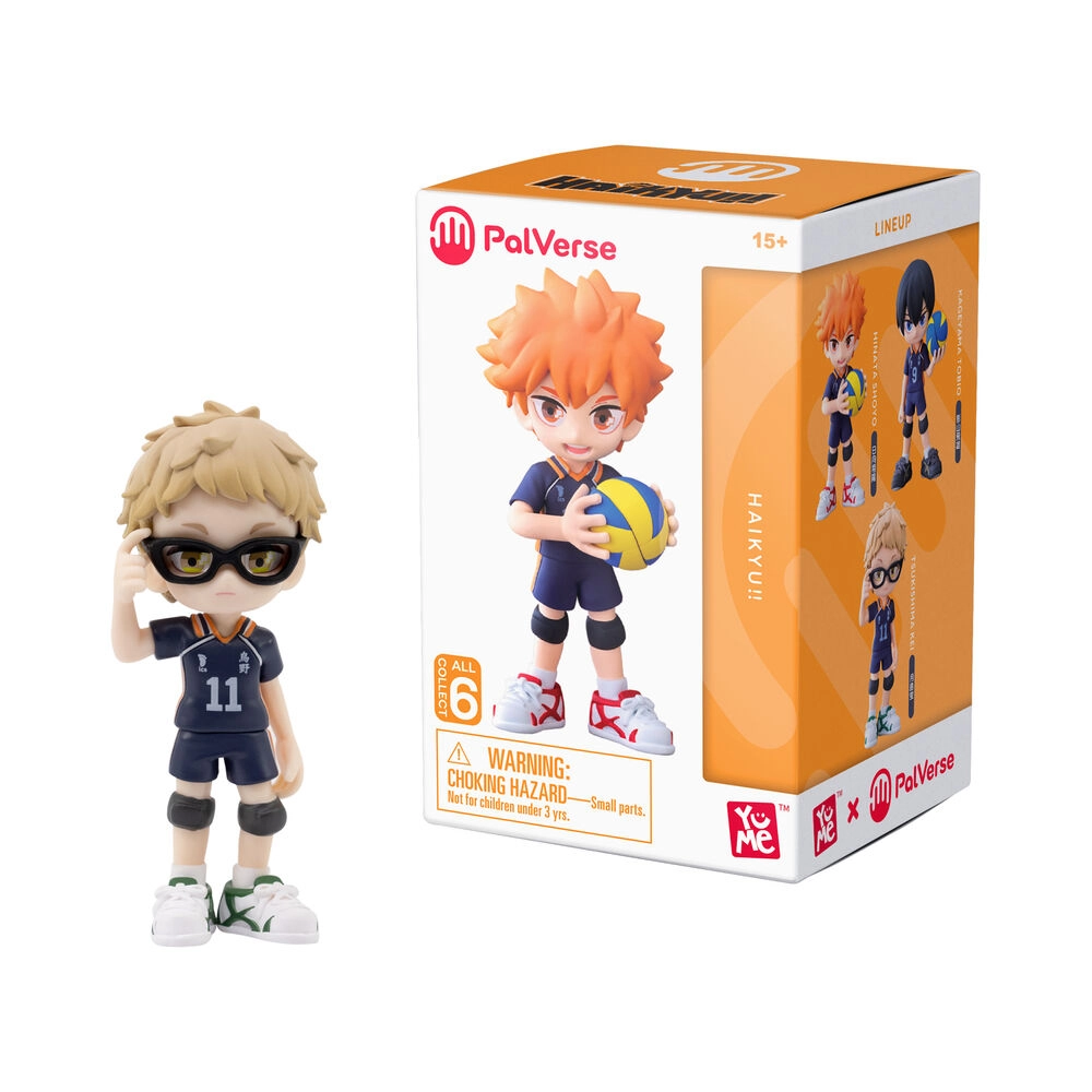 YuMe Haikyu!! Mystery Box