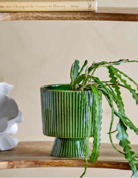 Vaso Ayleen, Green