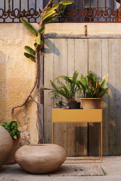 Plant Box Straw