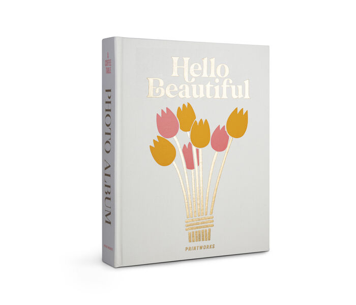 Álbum Hello Beautiful