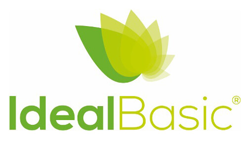 website image