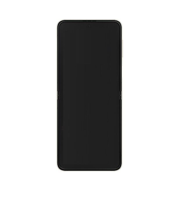 Pantalla LCD + Táctil Negra Samsung Galaxy Z Flip 3 5G