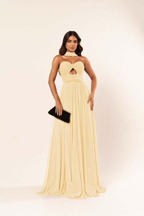 Vestido Comprido 