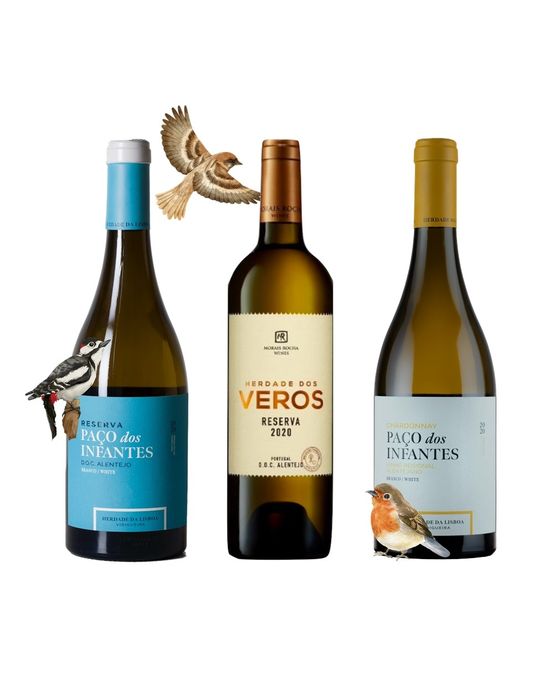 Seleção 3 Passarinhos às 4 da Madrugada – vinhos brancos do Alentejo