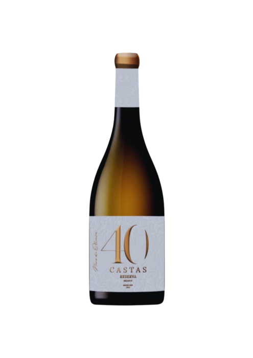 40 Castas Reserva Branco 
