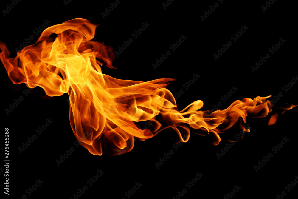 website image