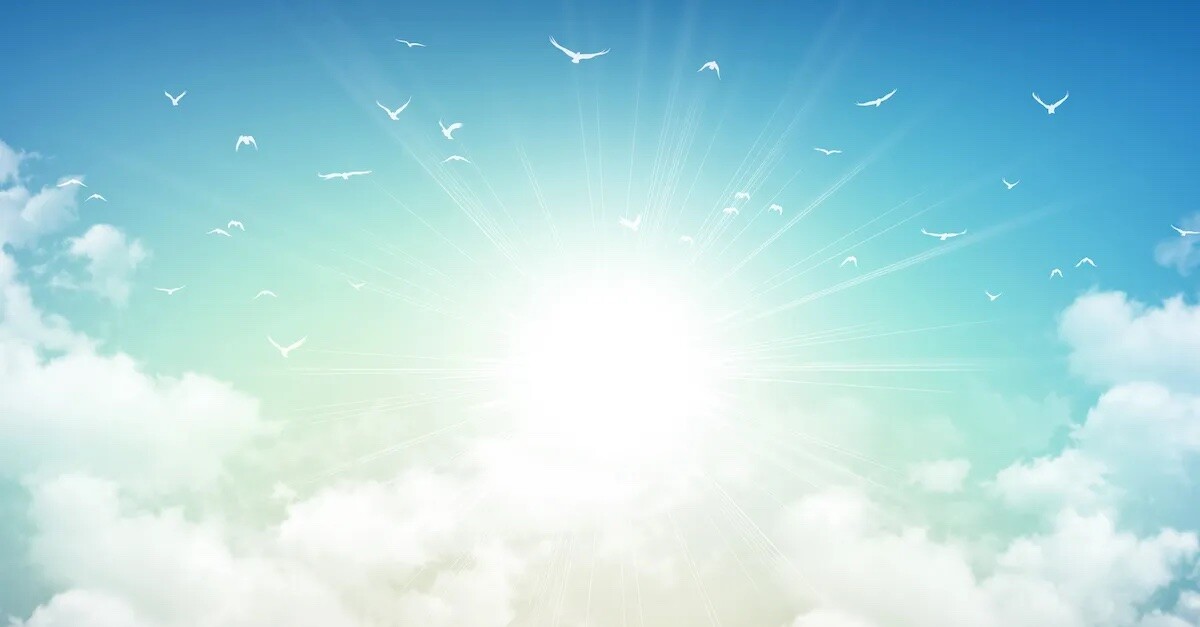 website image
