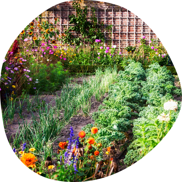 website image