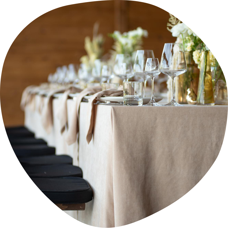 Organização Eventos Institucionais