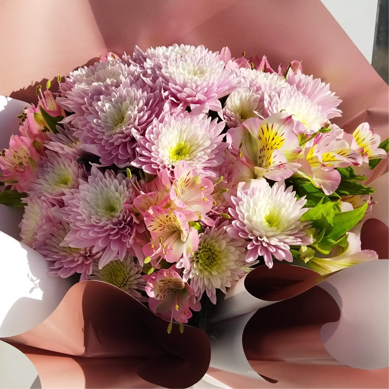 website image