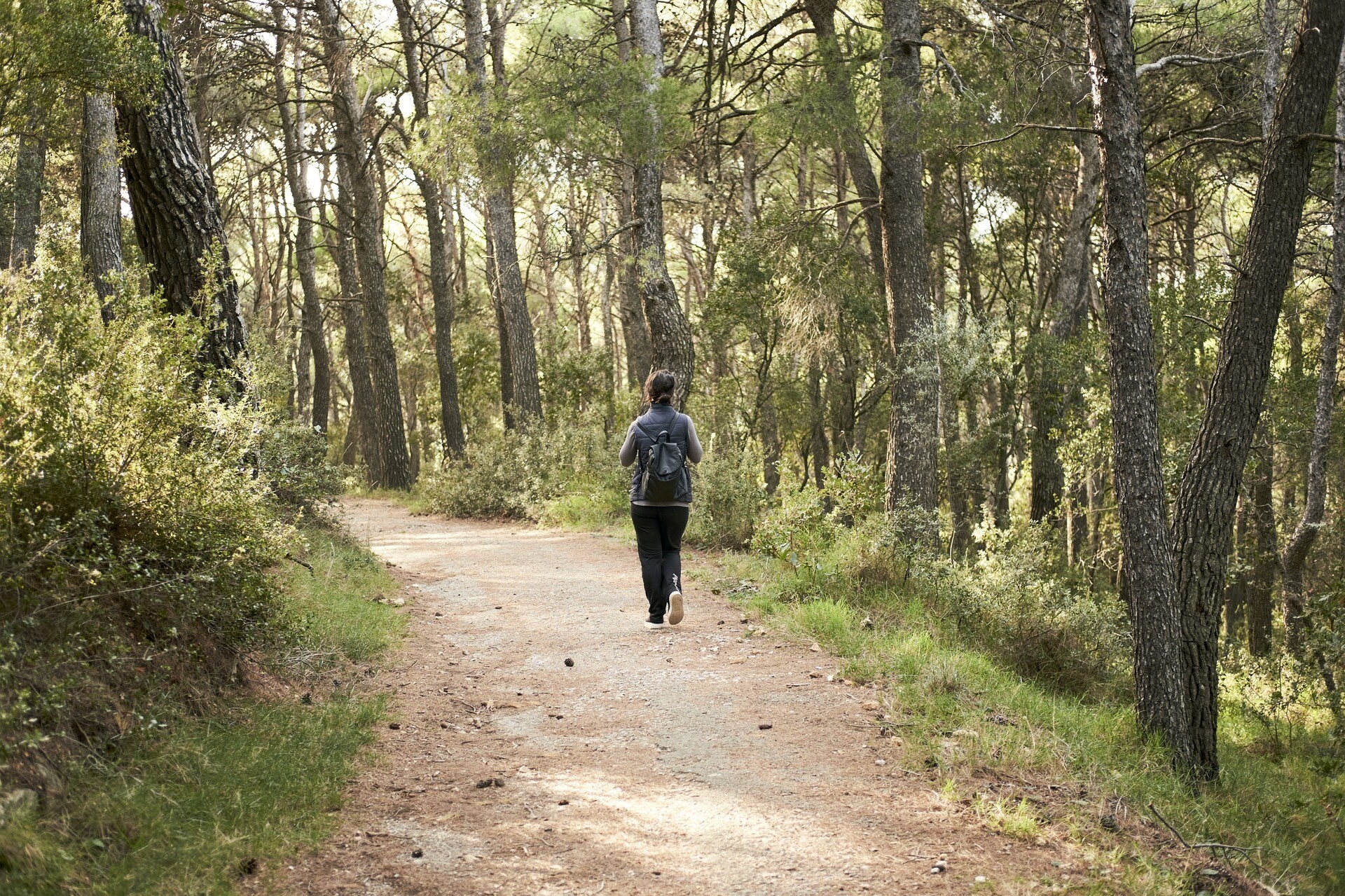 Pessoa a caminhar por um trilho rodeado de árvores e vegetação densa, em ambiente natural e tranquilo.