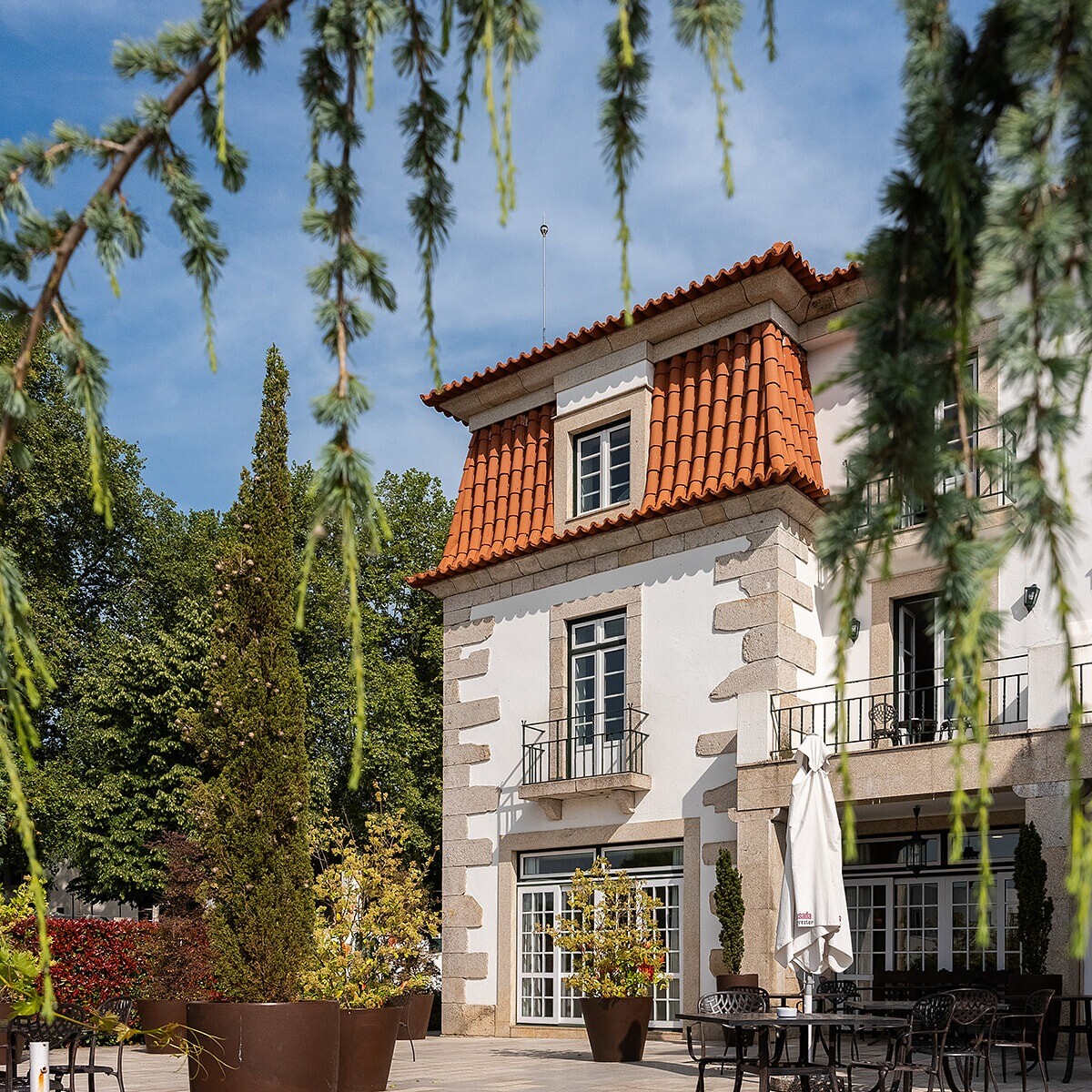 website image