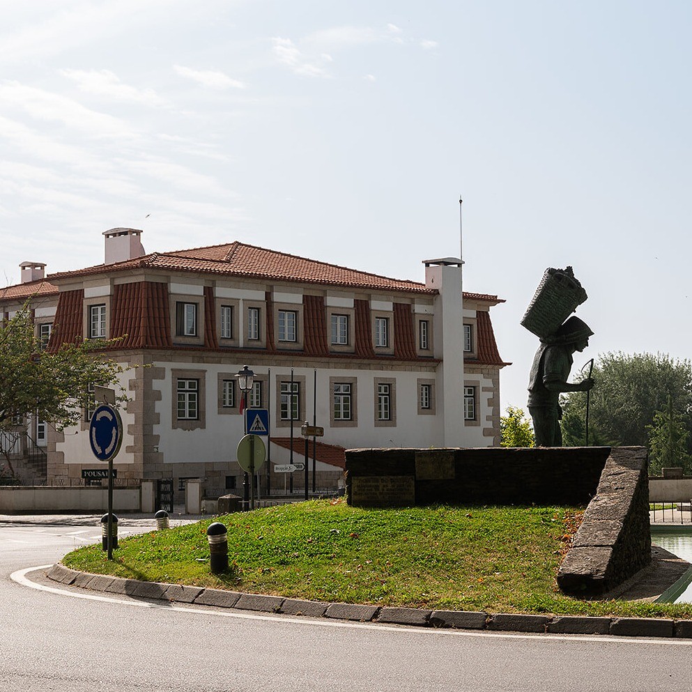website image