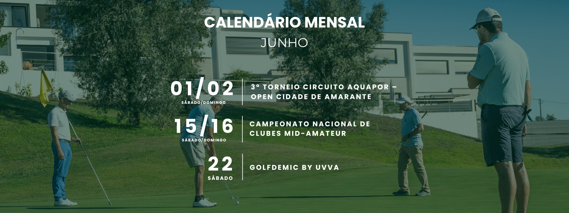 website image