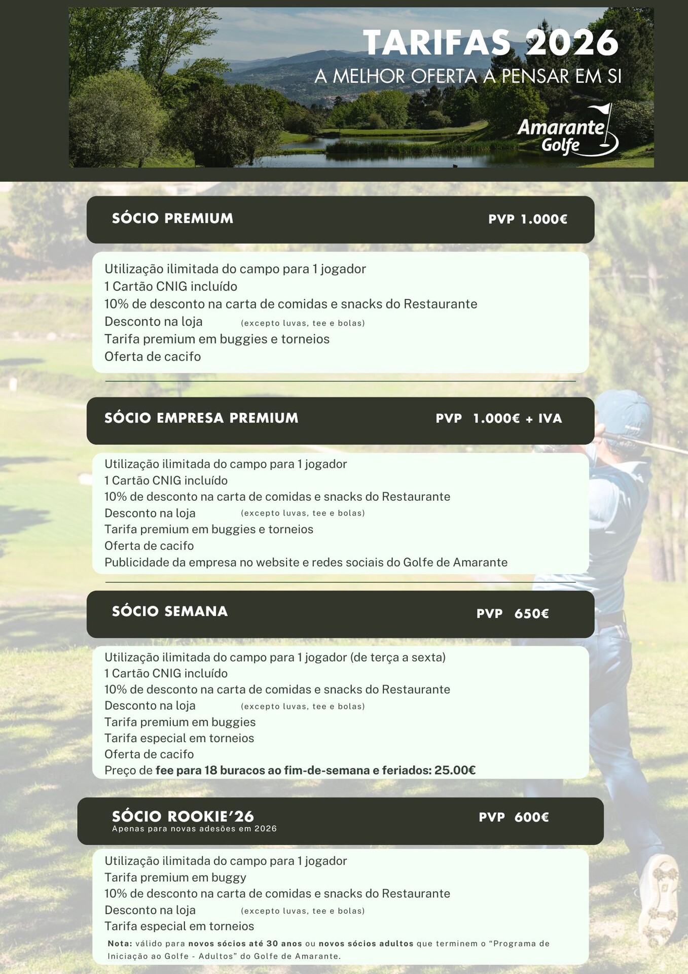 website image