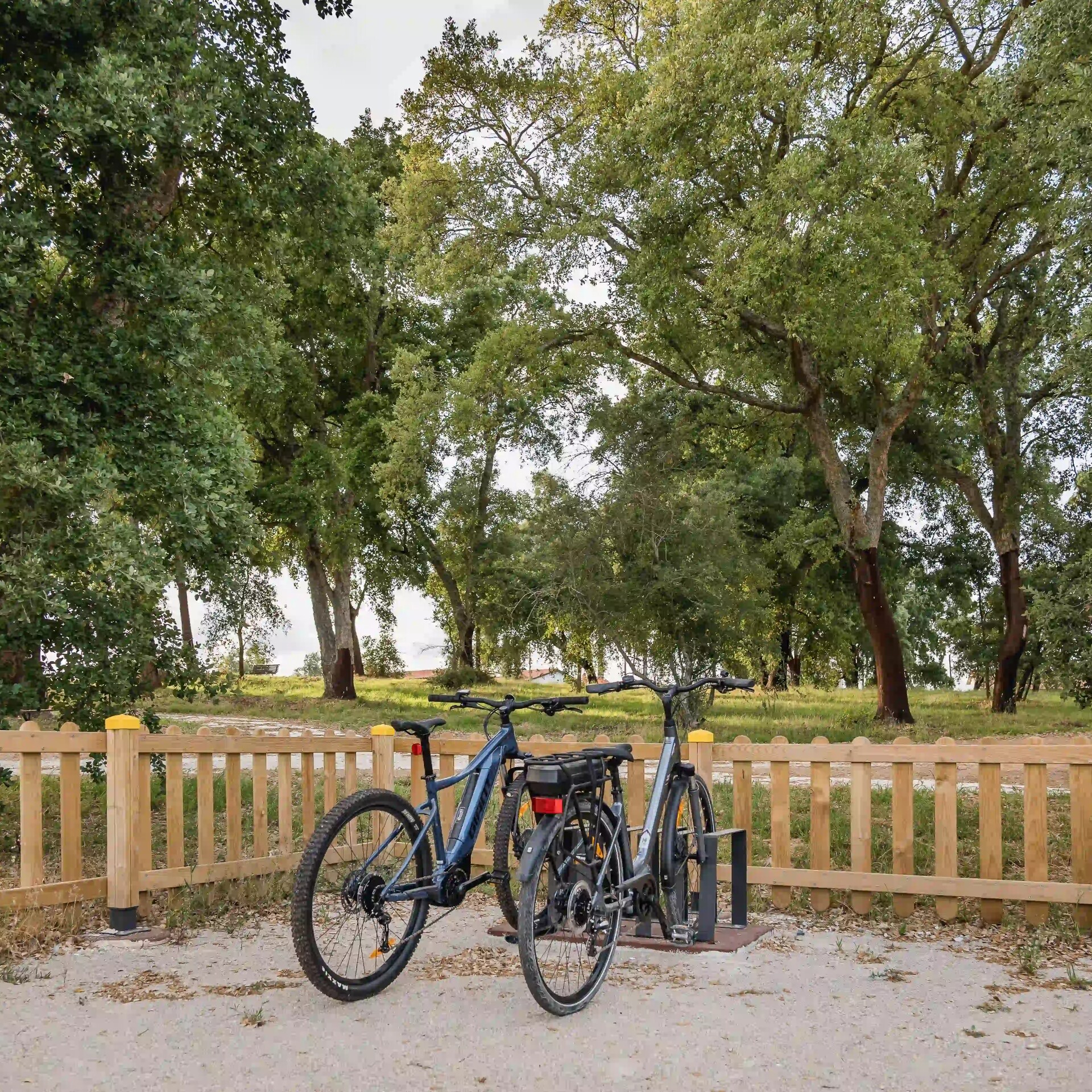website image