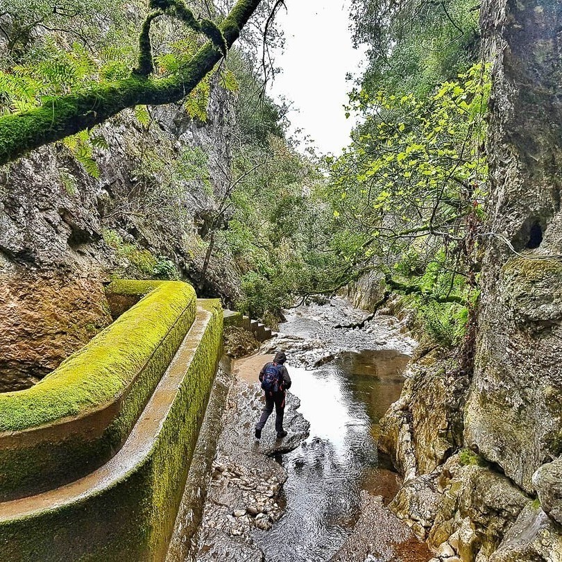 website image