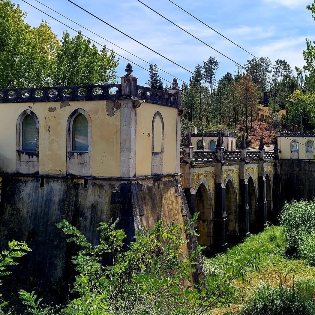 website image