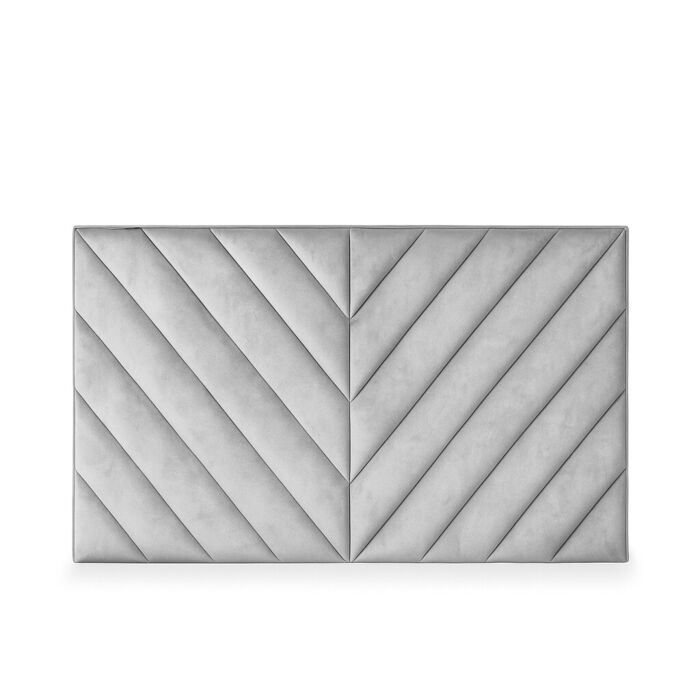 Vector