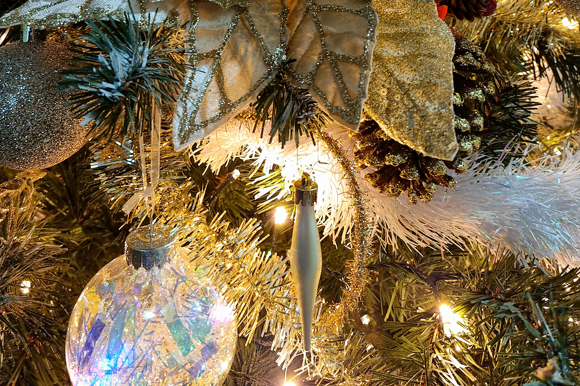 Natal