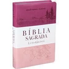 Bíblia Sagrada | ARA | Letra Gigante | Rosa/Branca