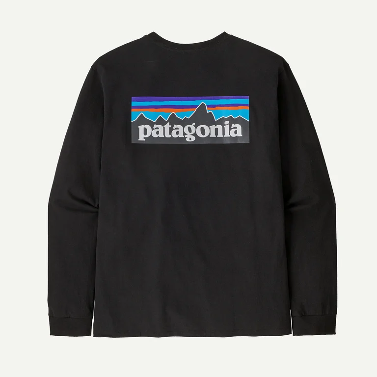 LONGSLEEVE PATAGONIA (M) P-6 LOGO
