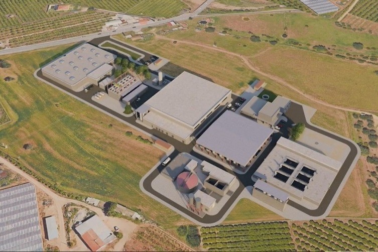 website image